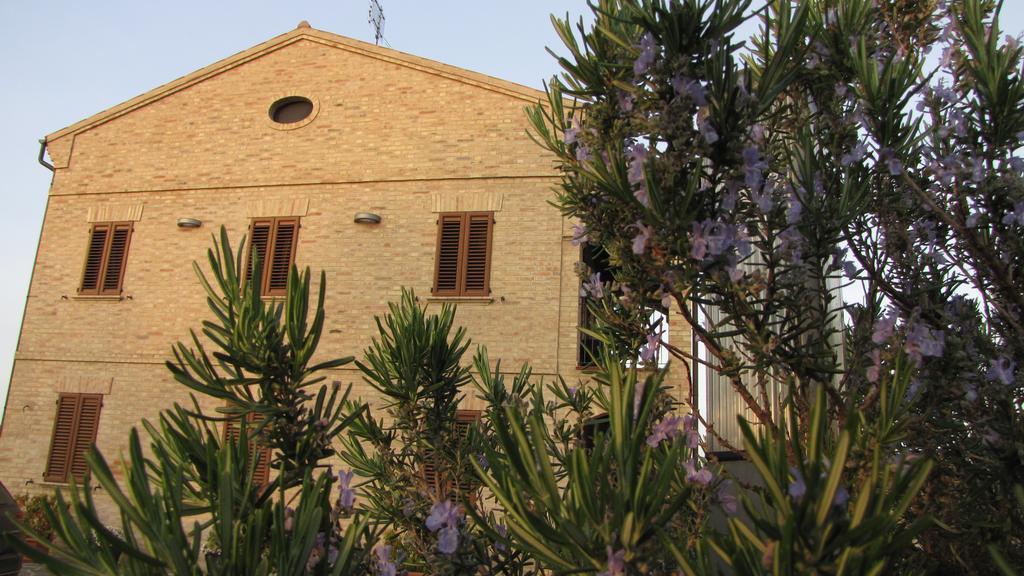 Bed And Breakfast Aratro & Rosmarino Civitanova Marche Exteriör bild