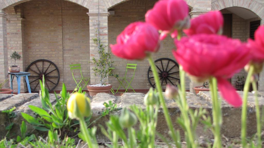 Bed And Breakfast Aratro & Rosmarino Civitanova Marche Rum bild