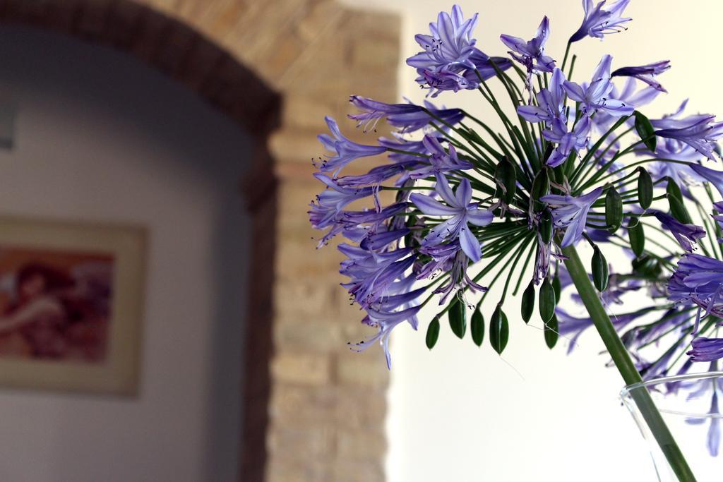 Bed And Breakfast Aratro & Rosmarino Civitanova Marche Exteriör bild
