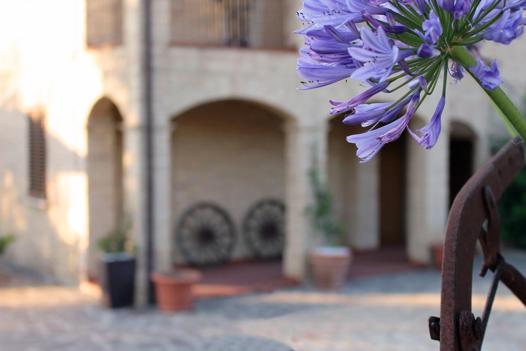 Bed And Breakfast Aratro & Rosmarino Civitanova Marche Exteriör bild